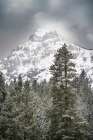 Wyoming-Yellowstone National Park Spring snow storm on mountain Art Print